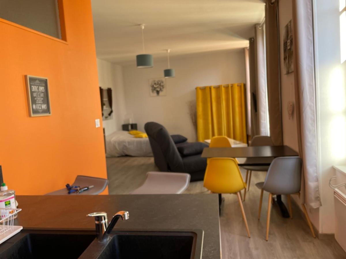 Millau Superbe Studio 35M2 Centre Ville Calme Et Ajoure Kültér fotó